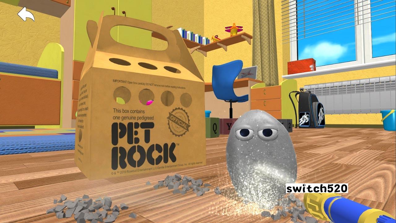 【美版】Pet Rock_1