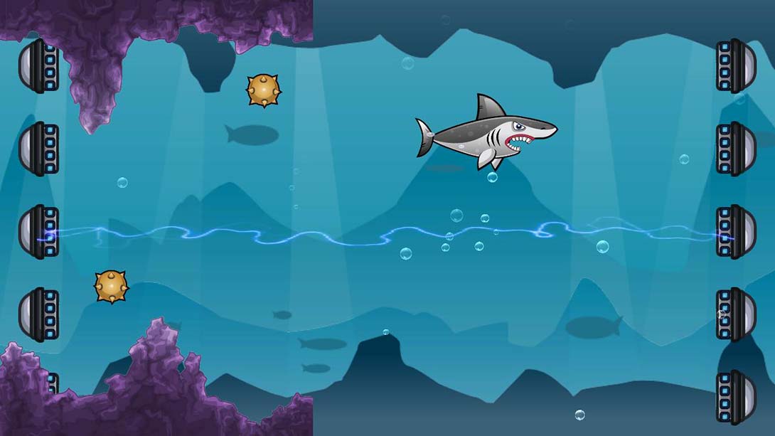 鲨鱼冒险 Shark Adventure_3