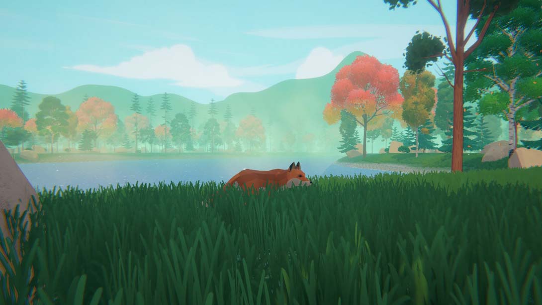 【美版】Leafy Trails_1