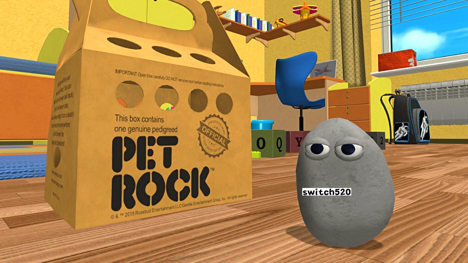 【美版】Pet Rock_0