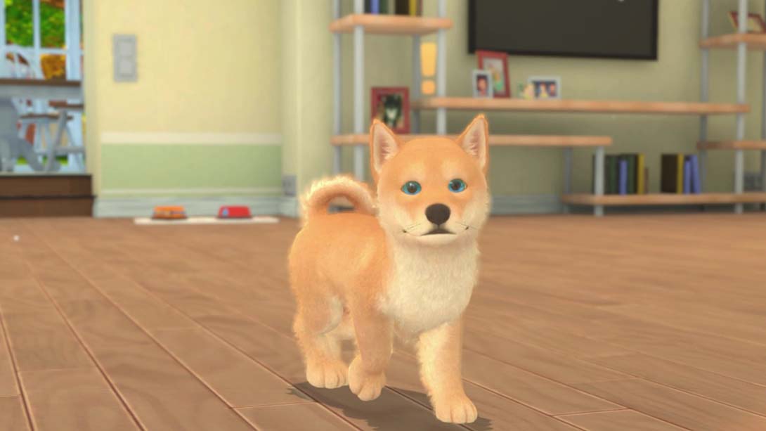 我的领域：小猫小狗 My Universe - Puppies and Kittens_1