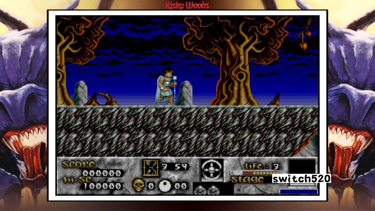 冒险森林（QUByte 经典）Risky Woods (QUByte Classics)_2