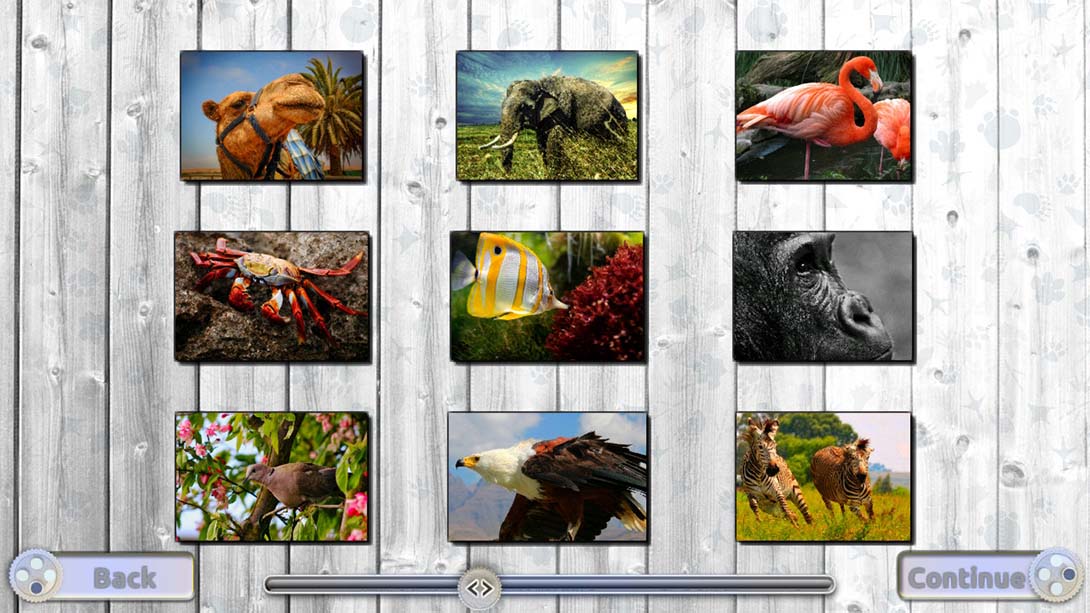 【美版】快乐拼图：迷人的动物 Jigsaw Fun: Amazing Animals_1