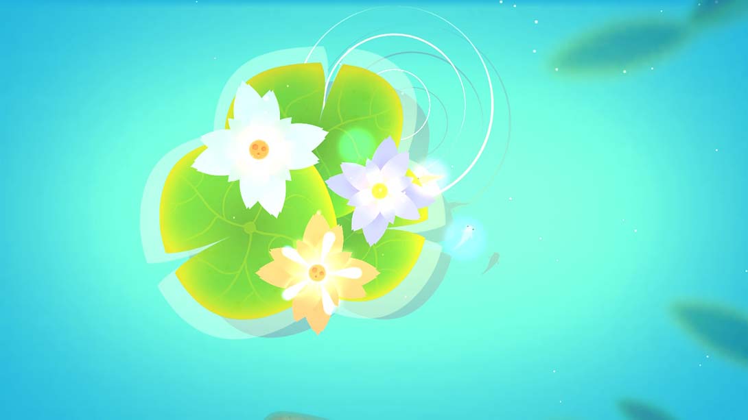 鲤 DX Koi DX_2