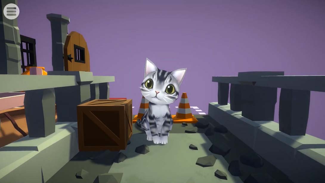 【美版】Cat Slide Tiles_6