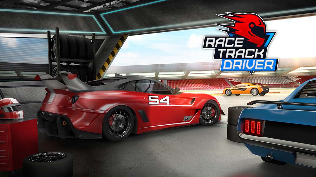 赛道车手 Race Track Driver_0