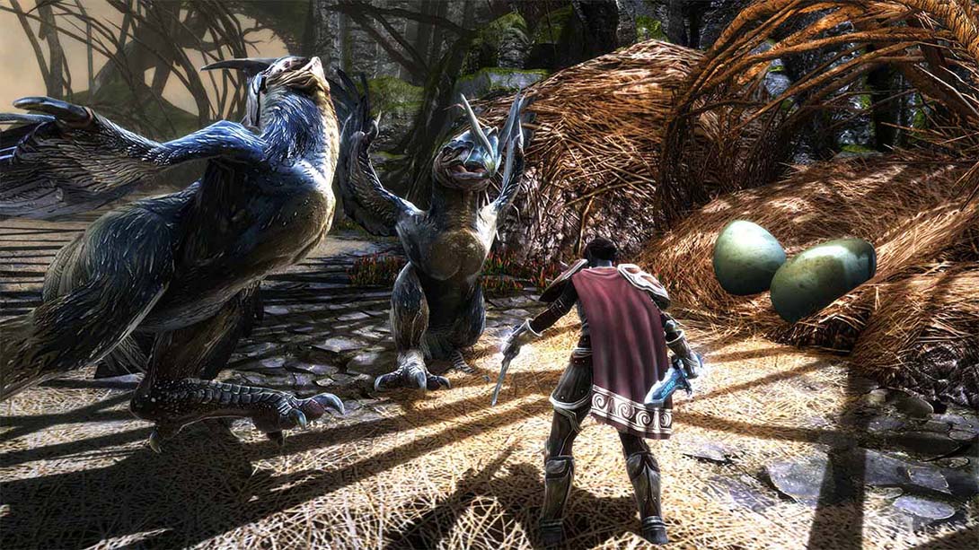 【美版】阿玛拉王国：惩罚重制版 Kingdoms of Amalur Reckoning_5