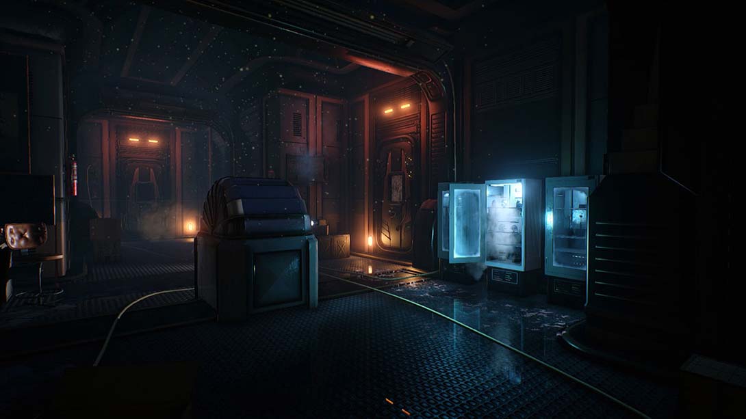 松果体 Conarium_2
