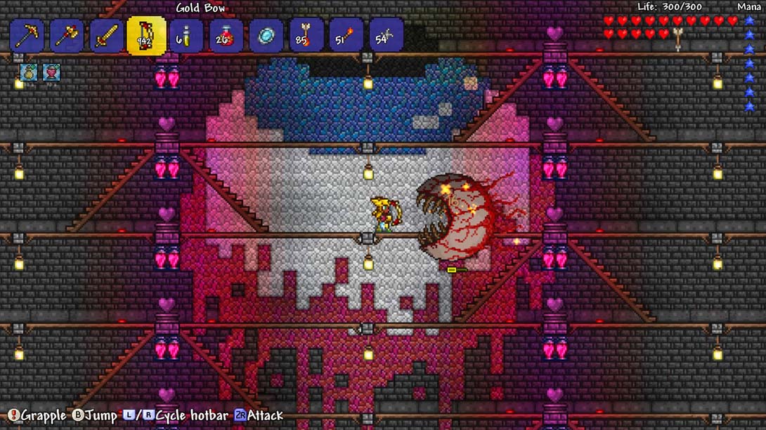 【美版】泰拉瑞亚 Terraria_6