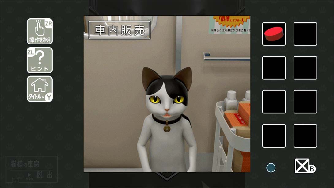 从猫的车窗逃出去 Escape from the cats car window_3