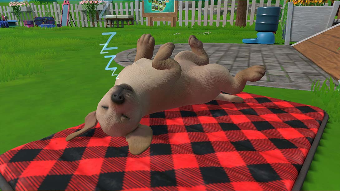 【美版】小小伙伴:狗狗小岛 Little Friends: Puppy Island_4