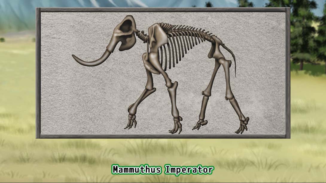 史前生活拼图 Prehistoric Life Puzzles_4