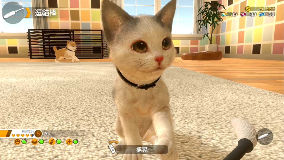【港版】小小伙伴：狗狗与猫猫.LITTLE FRIENDS -DOGS & CATS-_1