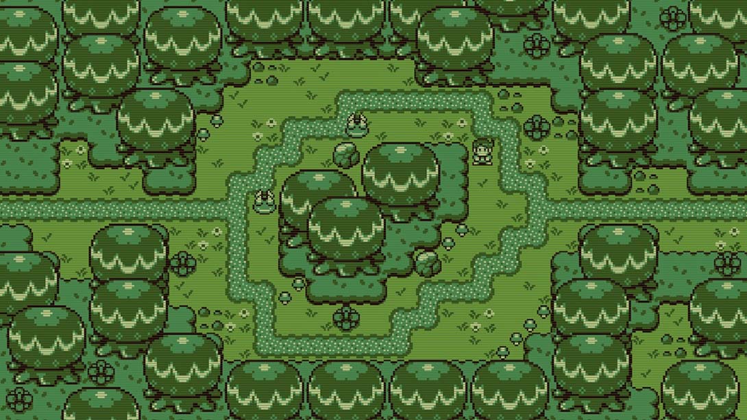 蒂莫西和神秘的森林 Timothy and the Mysterious Forest_3