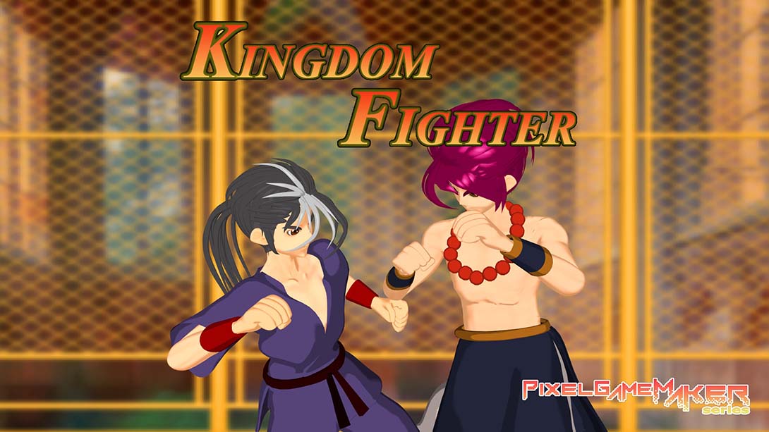 【美版】Pixel Game Maker Series KINGDOM FIGHTER_0