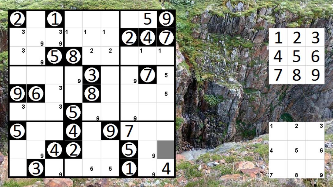 Logic Puzzle Collection: Sudoku - Permudoku - Nonodoku_2