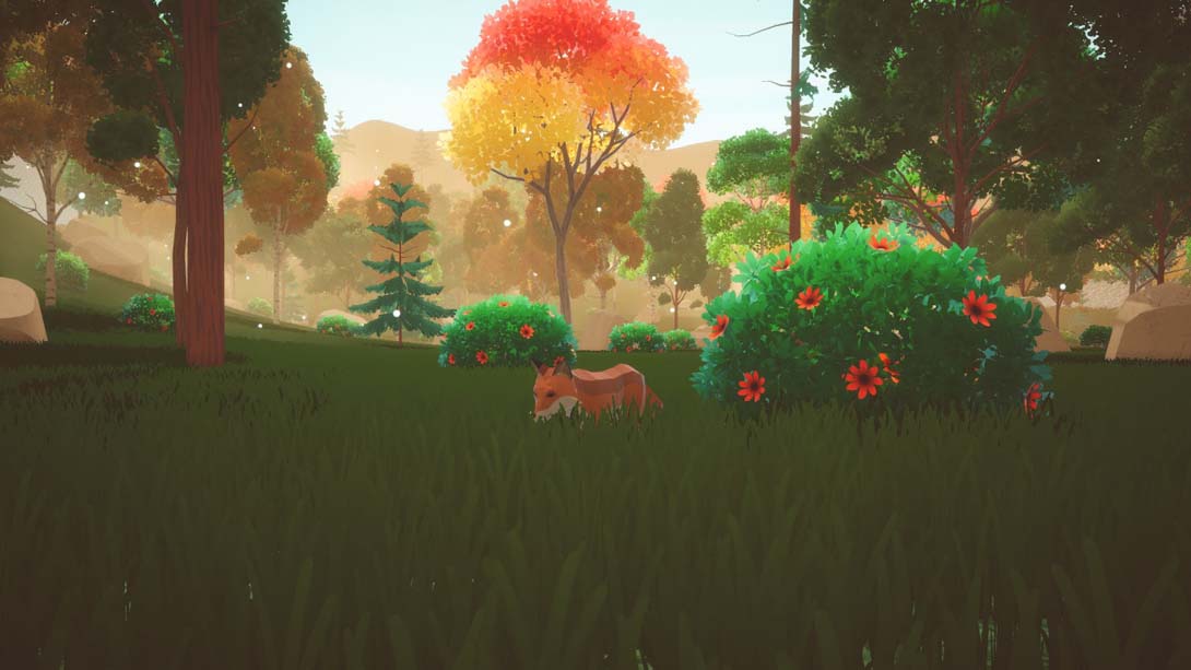 【美版】Leafy Trails_6