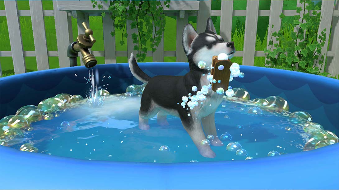【美版】小小伙伴:狗狗小岛 Little Friends: Puppy Island_2