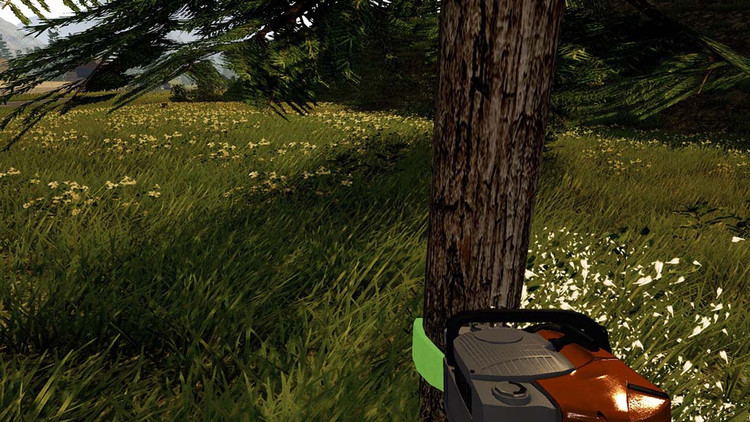 模拟林业 Forestry The Simulation_2