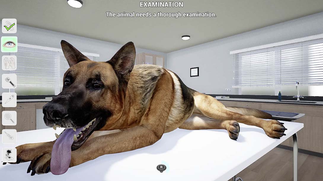 【美版】我的生活：宠物兽医 My Life: Pet Vet_3