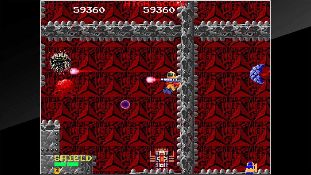 【美版】Arcade Archives BARADUKE_6