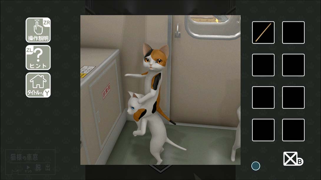 从猫的车窗逃出去 Escape from the cats car window_5