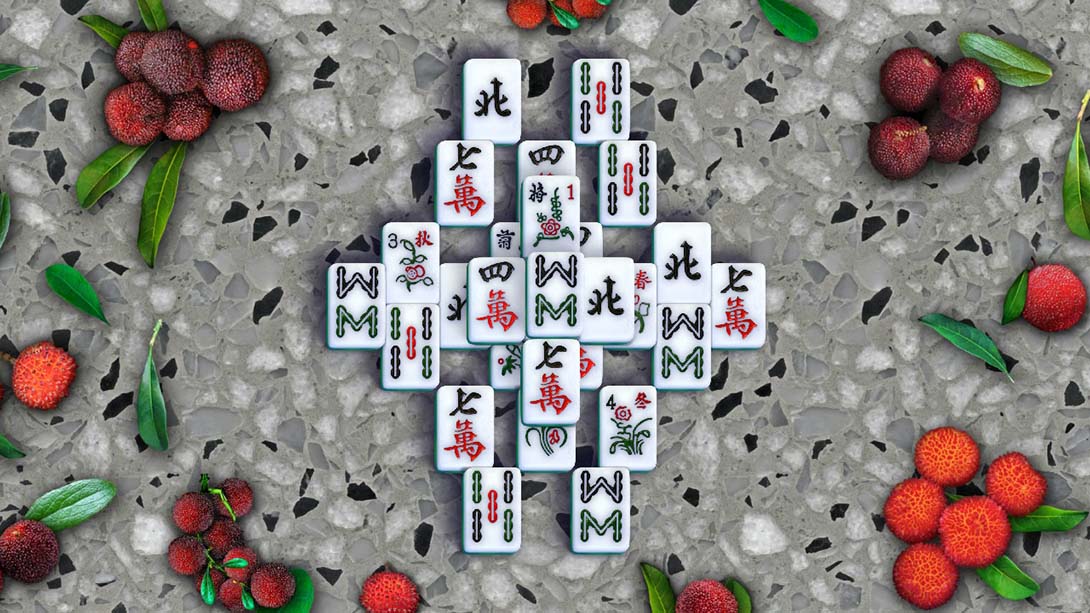 纯净麻将 Pure Mahjong_2