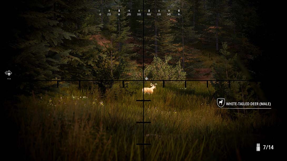 狩猎模拟2 Hunting Simulator 2_6