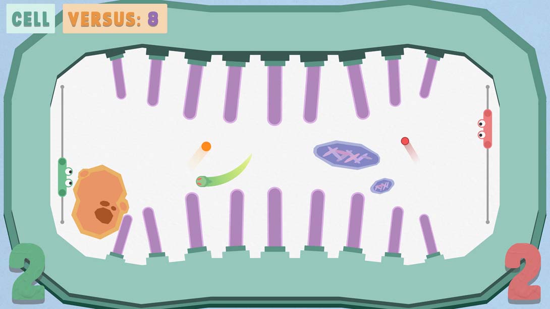 【美版】Paddles_1