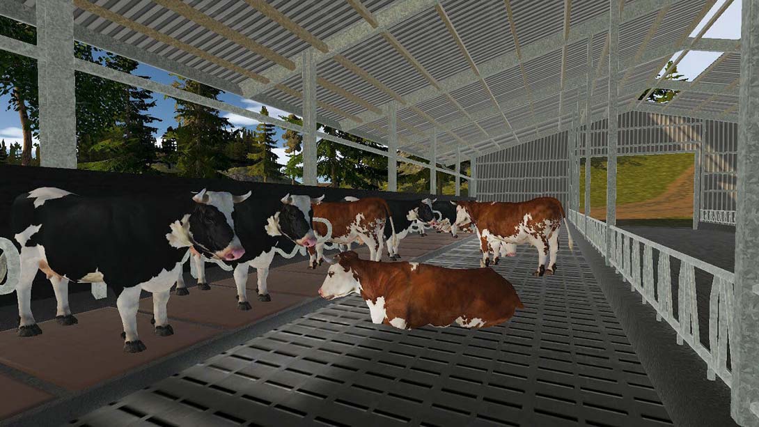 【美版】真实农场 白金超值版 Real Farm – Premium Edition_1