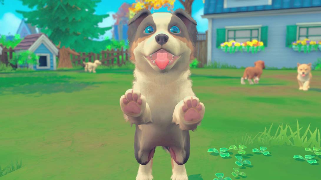 我的领域：小猫小狗 My Universe - Puppies and Kittens_4