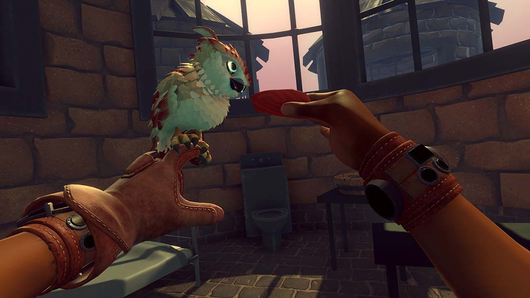 猎鹰纪元 Falcon Age_6