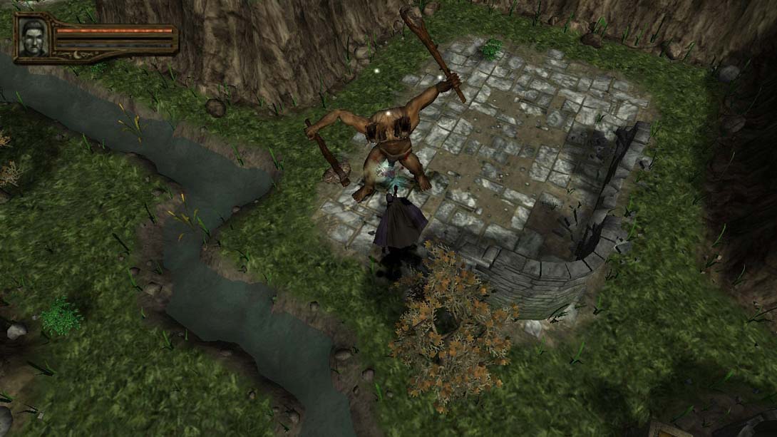 【美版】博德之门:黑暗联盟2 Baldur's Gate: Dark Alliance II_3