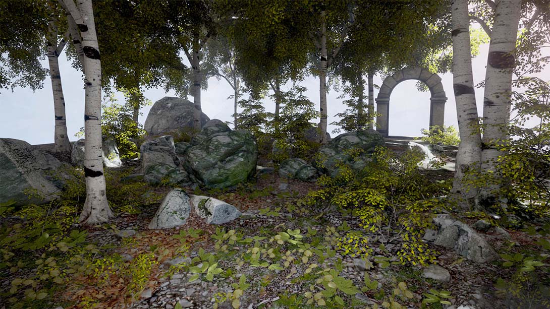 心智：视丘之径 MIND Path to Thalamus_1