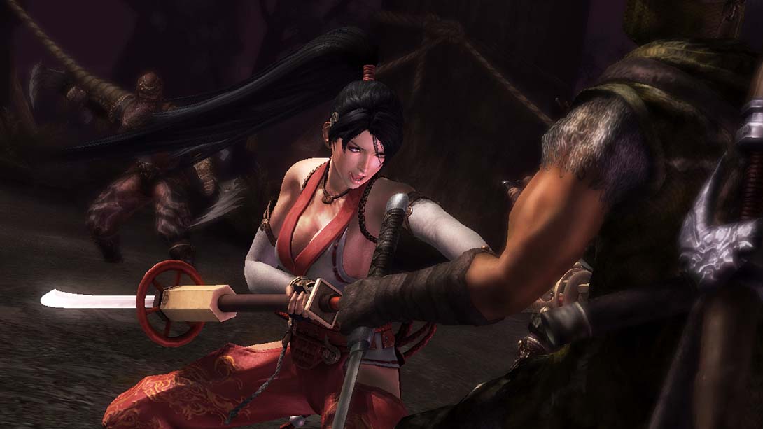 【美版】忍者龙剑传3:刀锋边缘 Ninja Gaiden 3: Razors Edge_5