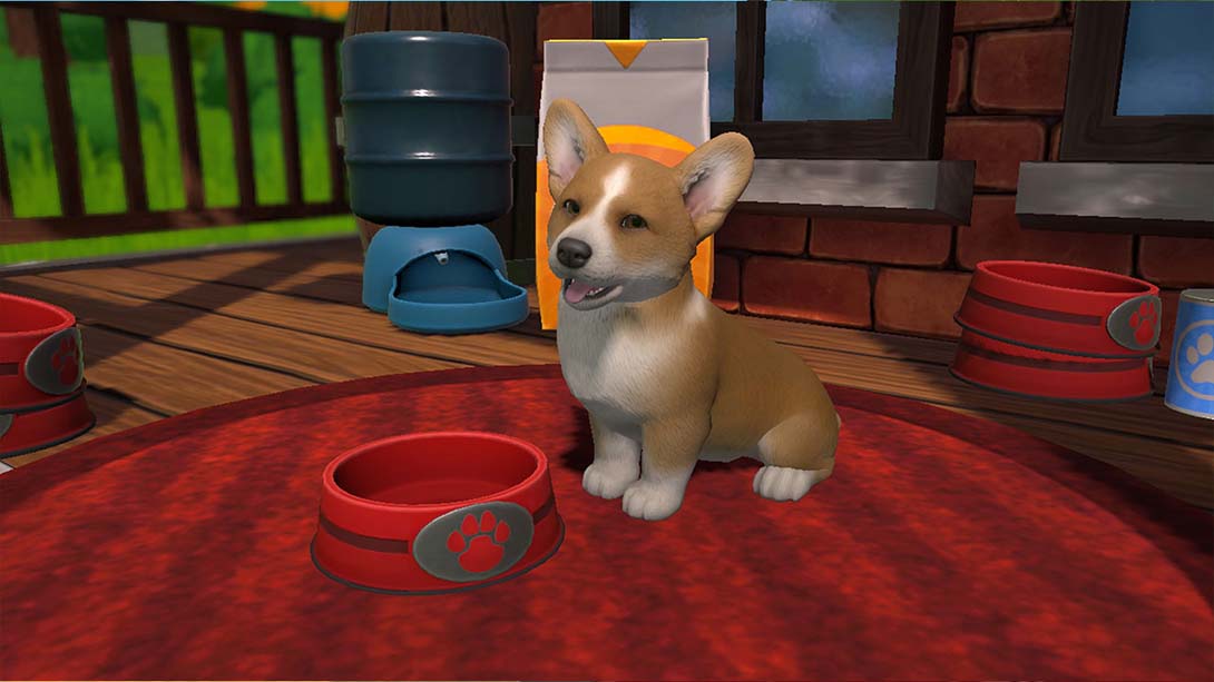 【美版】小小伙伴:狗狗小岛 Little Friends: Puppy Island_1