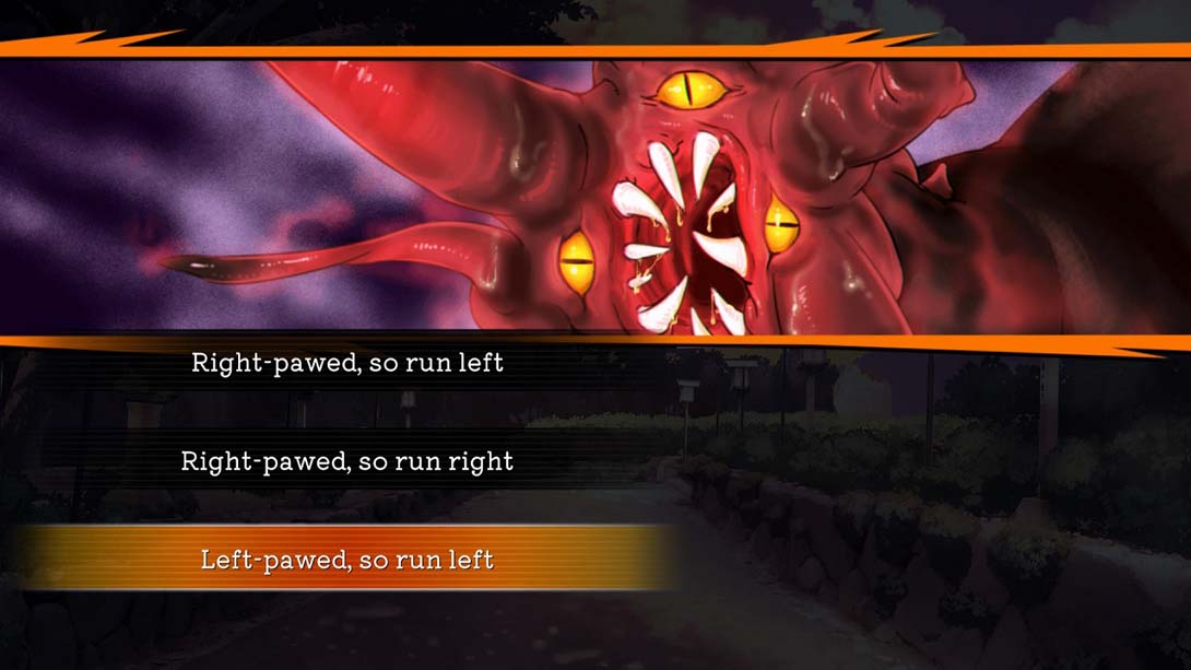 【美版】灾难侦探赛加:难以形容的谜团 Disaster Detective Saiga: An Indescribable Mystery_1