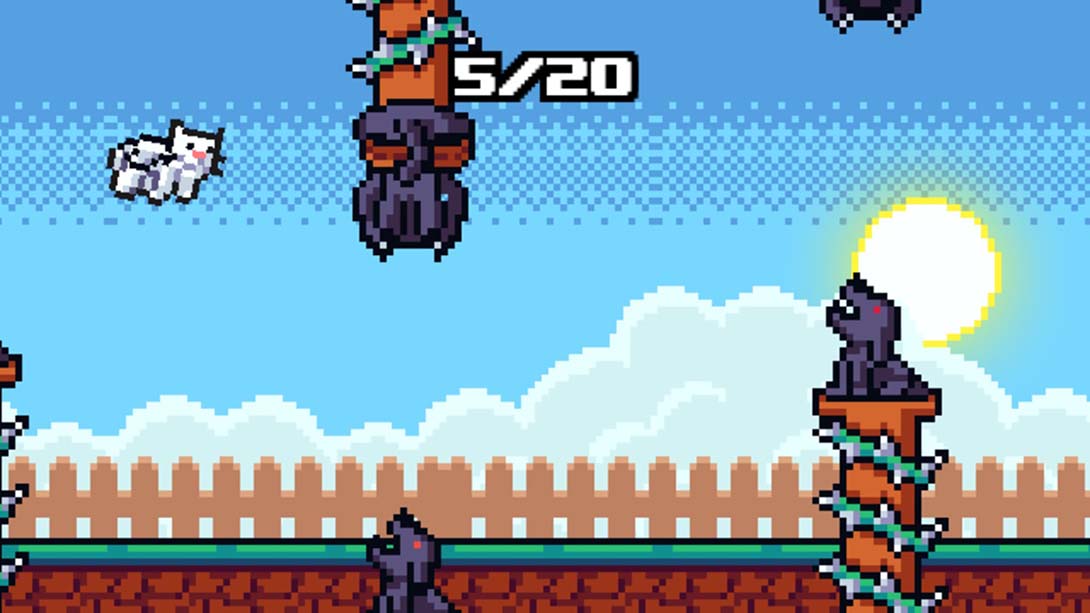 【美版】飞猫 Fly Cat_4