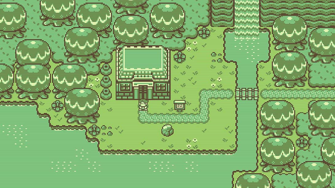 蒂莫西和神秘的森林 Timothy and the Mysterious Forest_1