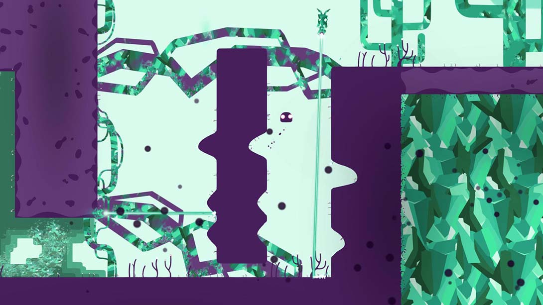 外表 Semblance_2
