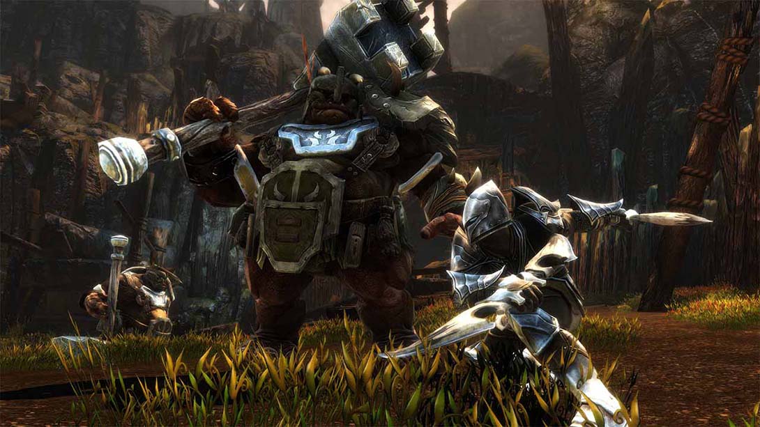 【美版】阿玛拉王国：惩罚重制版 Kingdoms of Amalur Reckoning_2