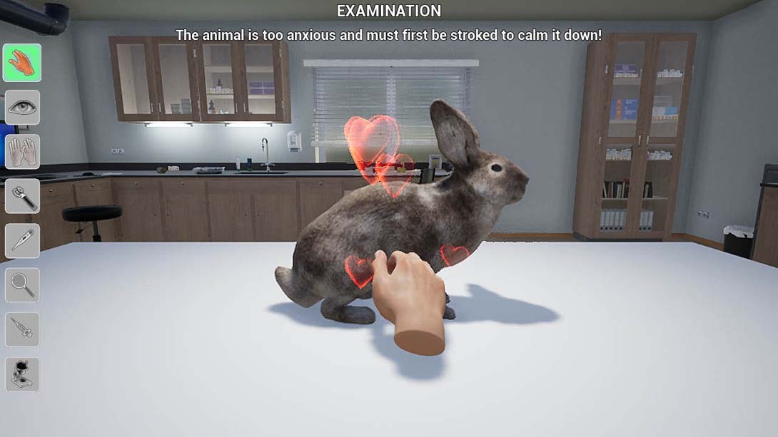 【美版】我的生活：宠物兽医 My Life: Pet Vet_6