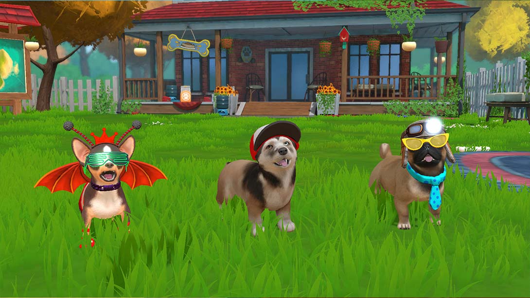 【美版】小小伙伴:狗狗小岛 Little Friends: Puppy Island_5