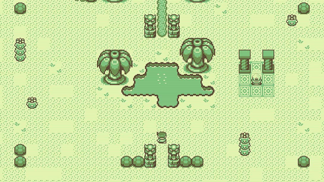蒂莫西和神秘的森林 Timothy and the Mysterious Forest_5