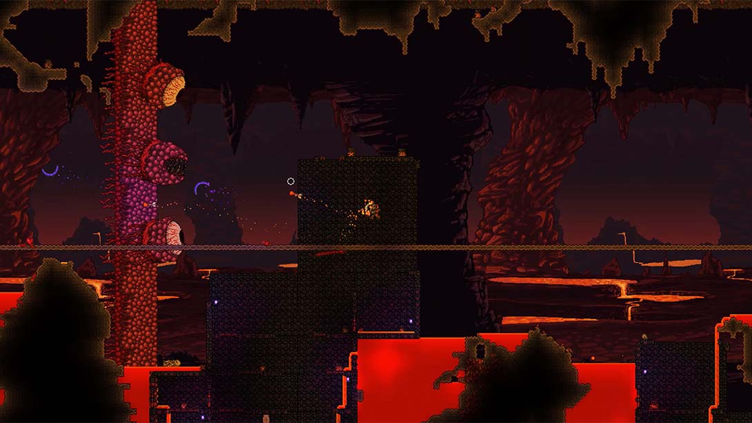 【美版】泰拉瑞亚 Terraria_2