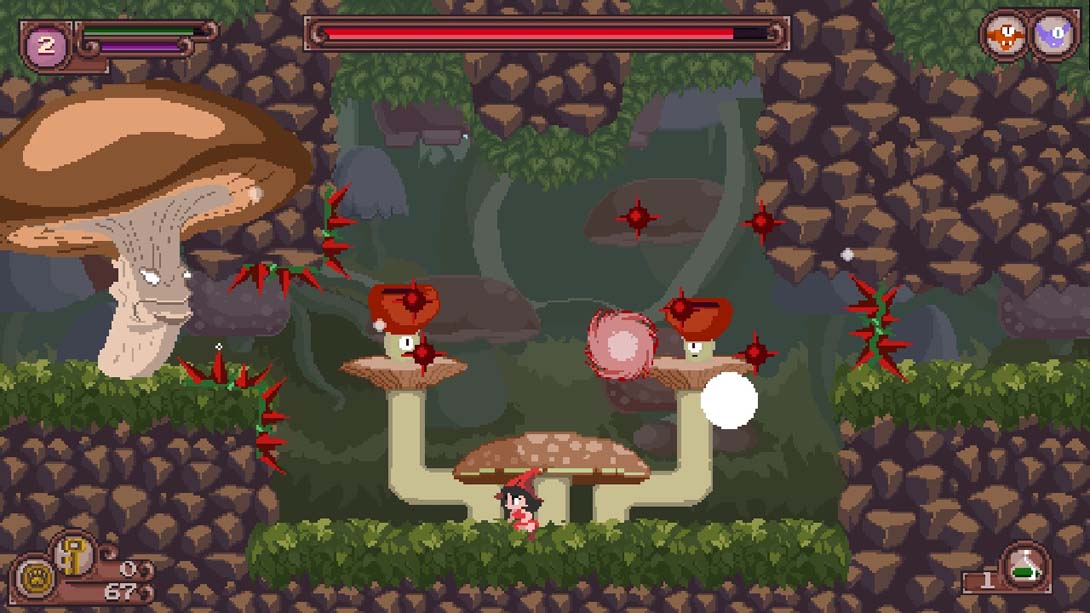 【美版】猫神 Catmaze_4