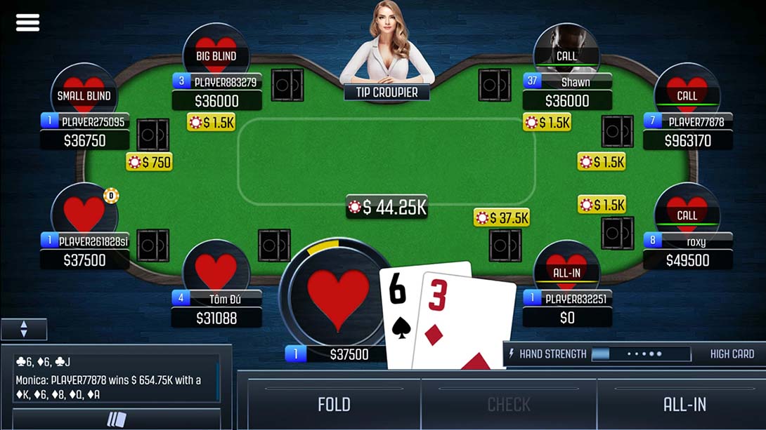 扑克冠军：德州扑克 Poker Champion: Texas Hold em_3