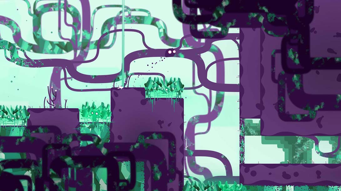 外表 Semblance_6