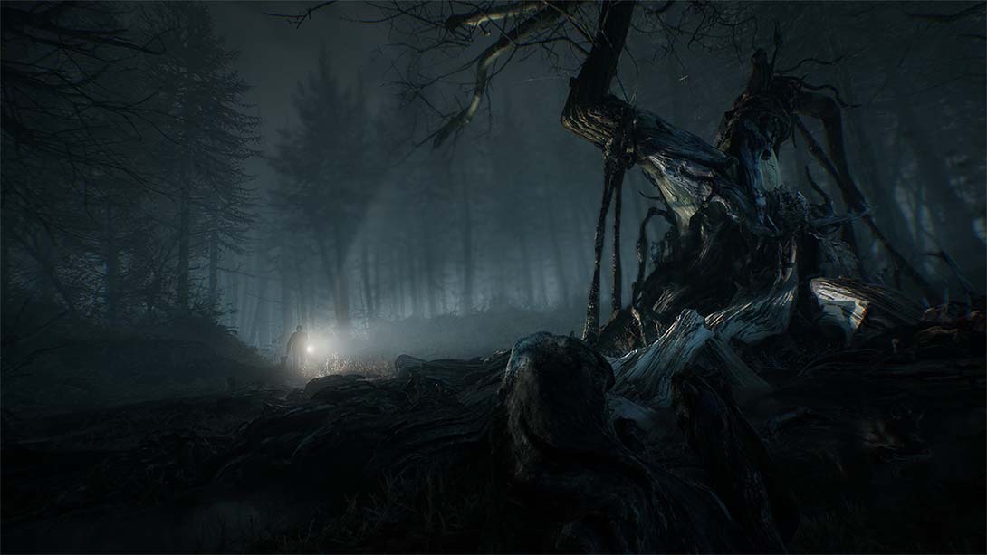 布莱尔女巫 Blair Witch_5