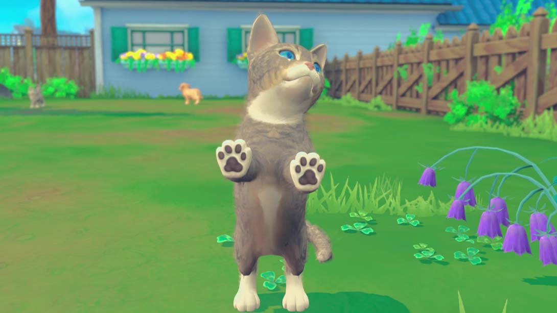 我的领域：小猫小狗 My Universe - Puppies and Kittens_6